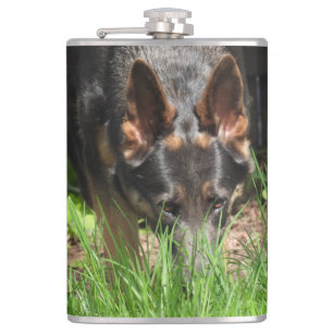 German Shepherd Stare Woodchuck Scare Hip Flask