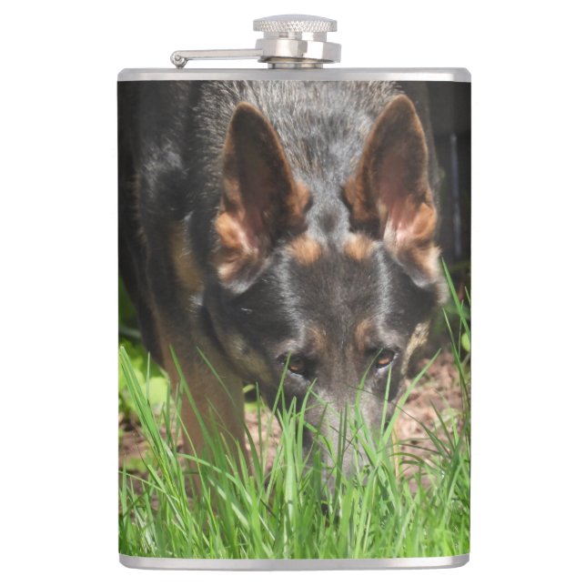 German Shepherd Stare Woodchuck Scare Hip Flask (Front)