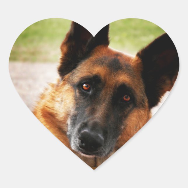 German Shepherd Stickers (Front)