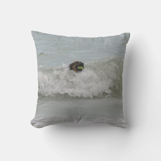 german shepherd swimming in wave cushion (Front)