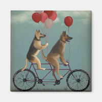 German Shepherd Tandem