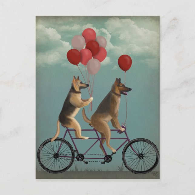 German Shepherd Tandem Postcard (Front)