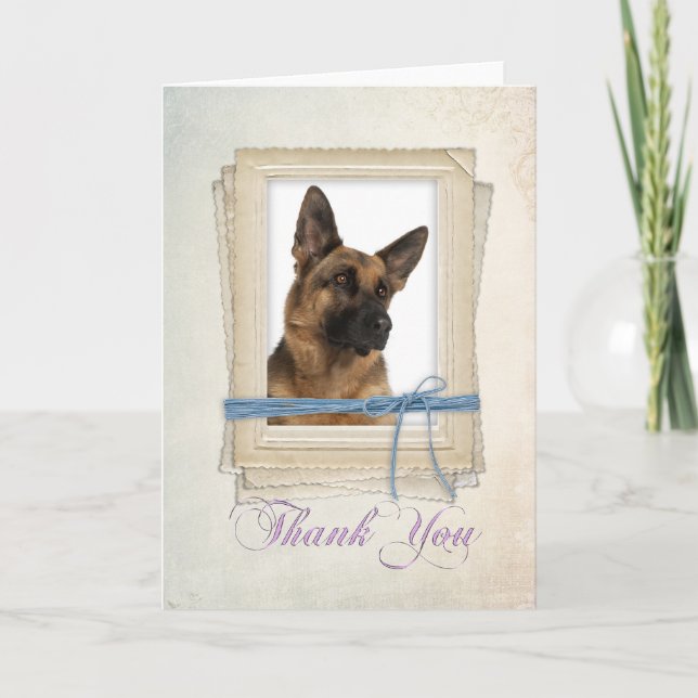 German Shepherd Thank You Card (Front)