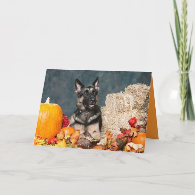 German Shepherd Thanksgiving Card (Front)