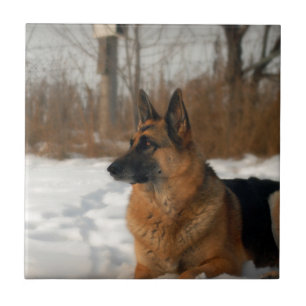 German Shepherd Tile