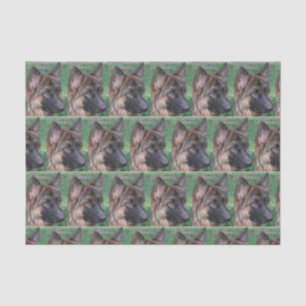 german shepherd tissue paper