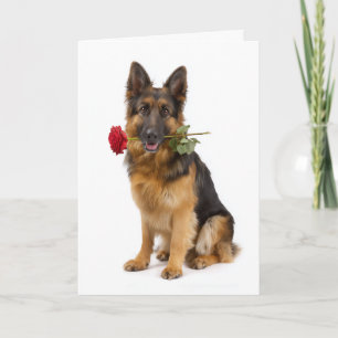 German Shepherd Valentine Card