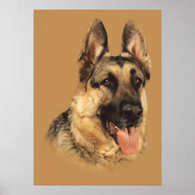 German Shepherd Very Handsome Print (Front)