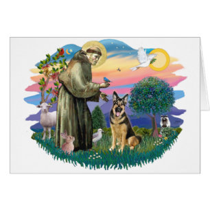 German Shepherd (W)