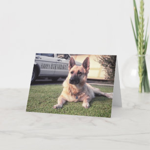 German Shepherd, Watchful Birthday Pet Lover Dog Card
