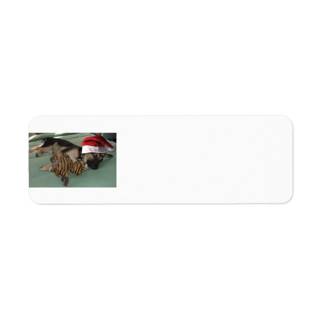 German Shepherd wearing a santa claus hat (Front)