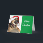 German Shepherd wearing a Santa Claus Hat Holiday Card<br><div class="desc">A Cute German Shepherd Wearing a Santa Claus Hat for Christmas</div>