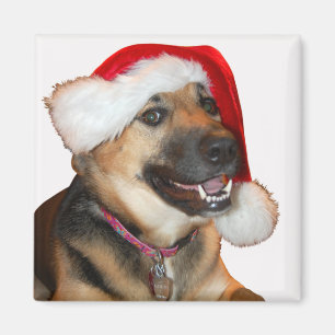 German Shepherd wearing a Santa Claus Hat Magnet