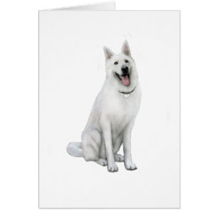 German Shepherd - White
