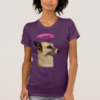 German Shepherd With Pink Halo