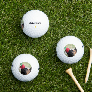German Shepherd with Red Rose Golf Balls
