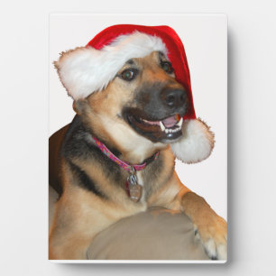 German Shepherd with Santa Hat Plaque