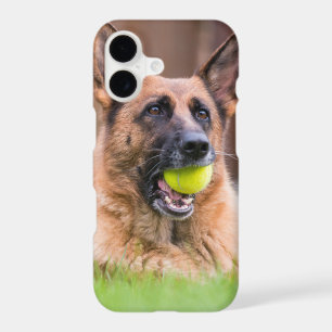 German Shepherd With Tennis Ball