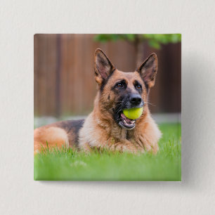 German Shepherd With Tennis Ball 15 Cm Square Badge