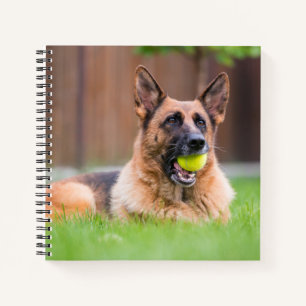 German Shepherd With Tennis Ball Notebook