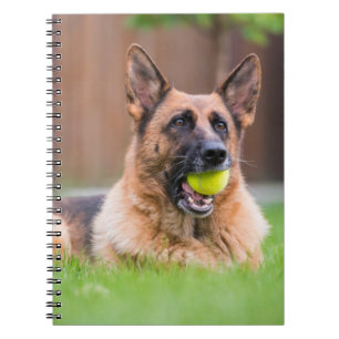 German Shepherd With Tennis Ball Notebook
