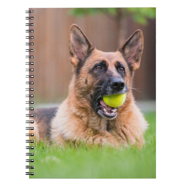 German Shepherd With Tennis Ball Notebook (Front)