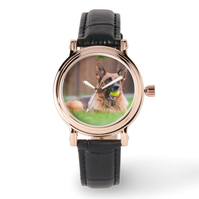 German Shepherd With Tennis Ball Watch (Front)