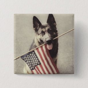 German Shepherd With US Flag 15 Cm Square Badge