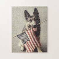 German Shepherd With US Flag