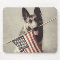 German Shepherd With US Flag
