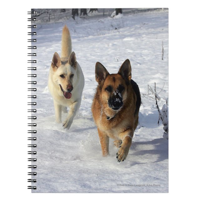 German Shepherds Running in the Snow Spiral Notebook (Front)