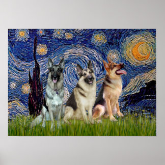 German Shepherds  Three - Starry Night Poster
