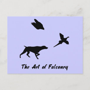 German Shorthair Pointer and Falconry Postcard