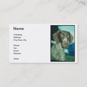 German Shorthair Pointer Business Card