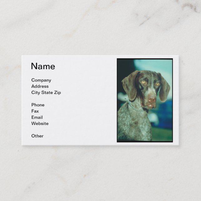 German Shorthair Pointer Business Card (Front)
