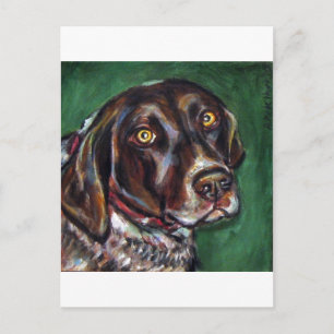 German Shorthair Pointer Postcard