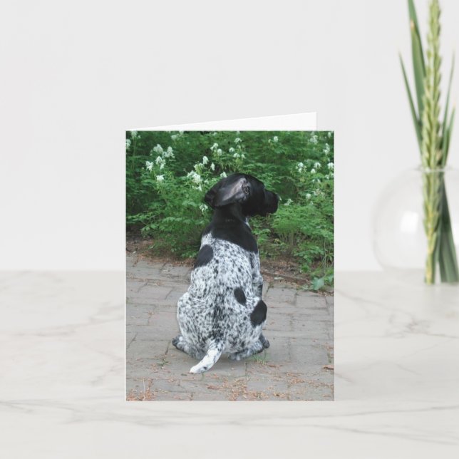 German Shorthair Pointer Puppy Card (Front)