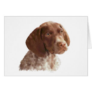 German Shorthair Puppy