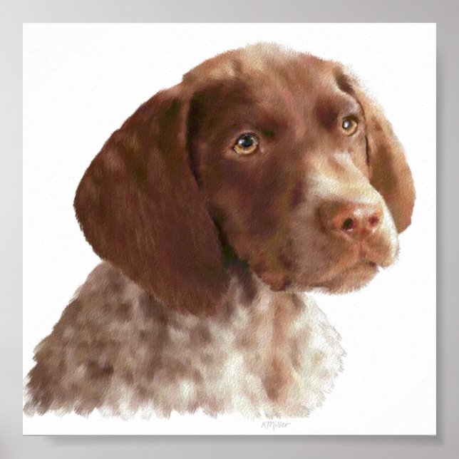 German Shorthair Puppy Poster (Front)