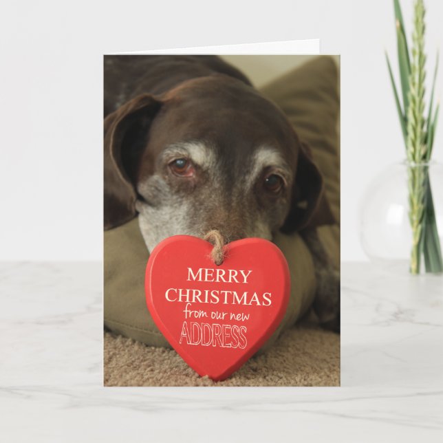 German Shorthaired Merry Christmas  New Address Holiday Card (Front)