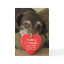 German Shorthaired Merry Christmas  New Address