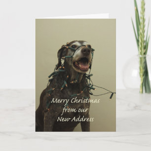 German Shorthaired Merry Christmas New Address Holiday Card