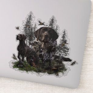 German Shorthaired Pointer   