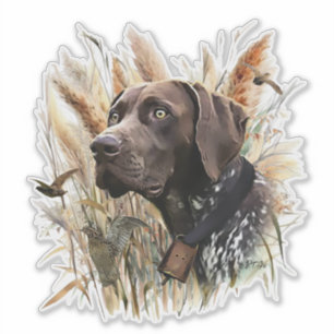 German Shorthaired Pointer
