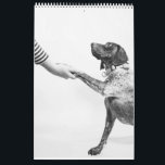 German Shorthaired Pointer 2024 Calendar GSP Dog<br><div class="desc">The Enduring Spirit of the German Shorthaired Pointer Calendar - A faithful companion, an unwavering hunter, and a timeless breed, the German Shorthaired Pointer embodies the very essence of resilience and determination. With their unwavering focus, unwavering loyalty, and unwavering spirit, GSPs have captured the hearts of dog lovers worldwide. The...</div>