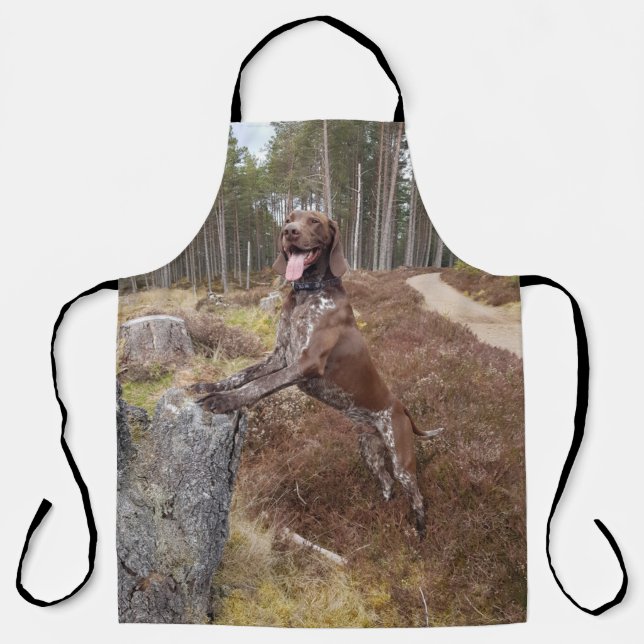 German Shorthaired Pointer Apron (Front)