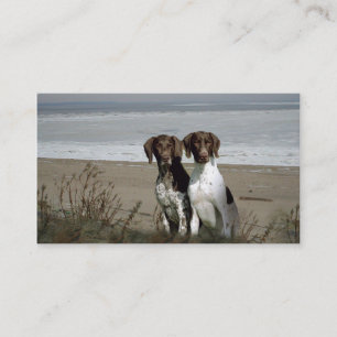 German Shorthaired Pointer Breeder Business Card