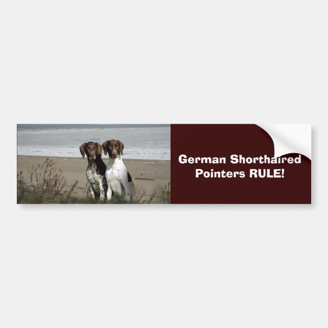 German Shorthaired Pointer Bumper Sticker (Front)