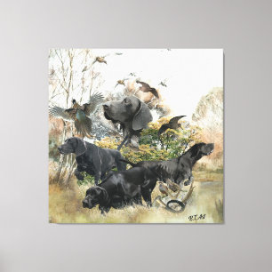 German Shorthaired pointer Canvas Print