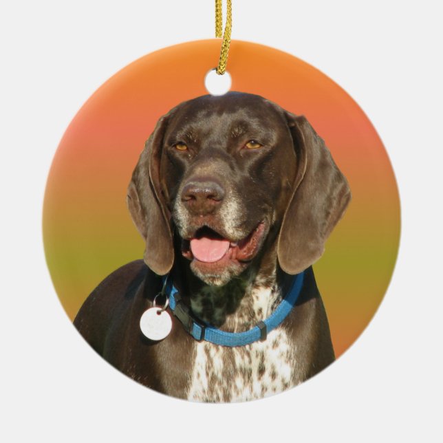 German Shorthaired Pointer Ceramic Tree Decoration (Front)